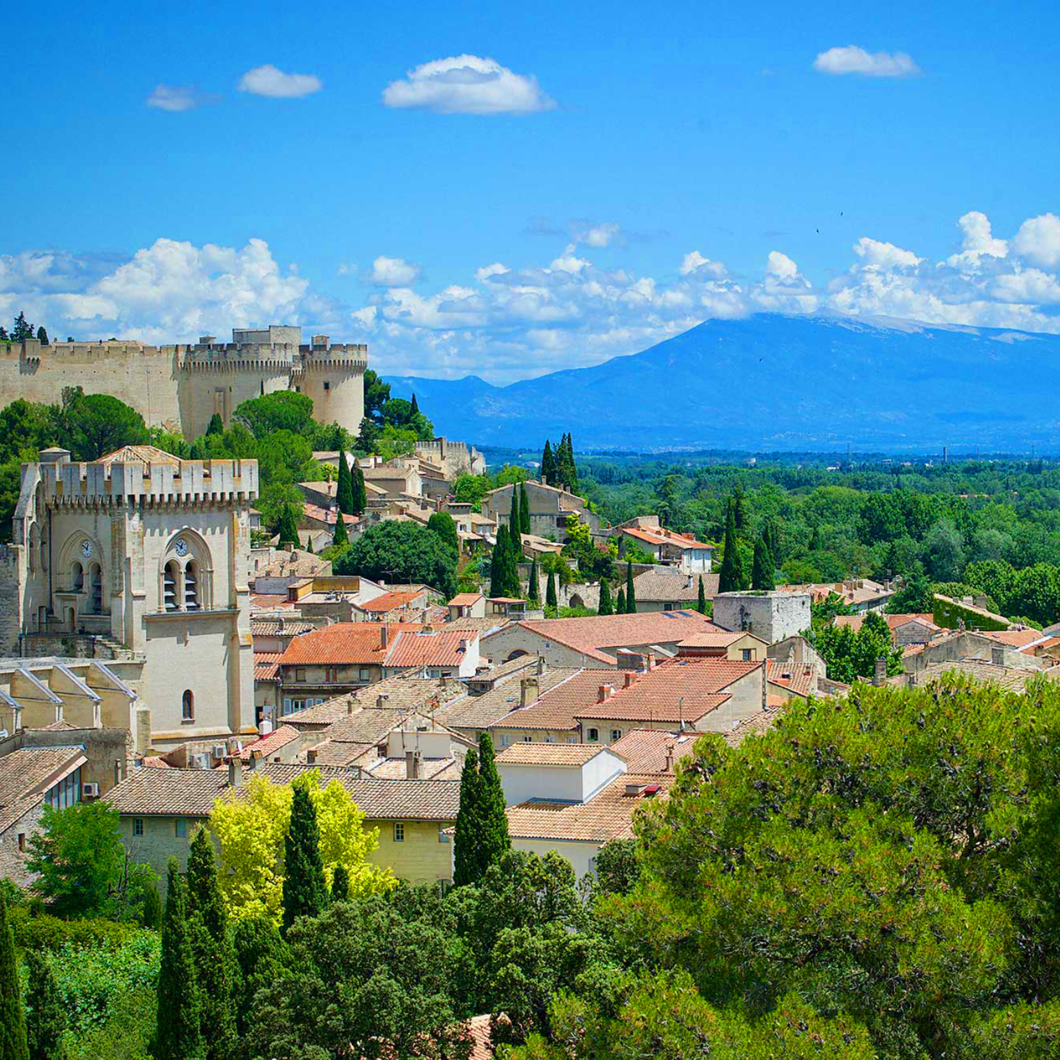 Villeneuve les Avignon Fort Saint André