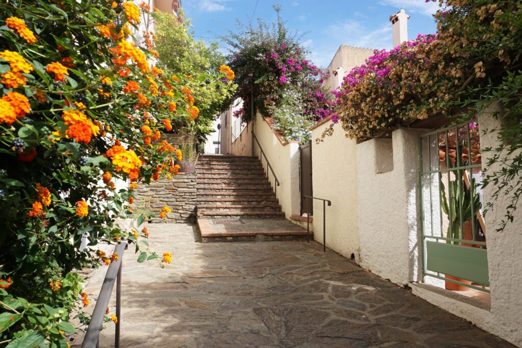 Banyuls-sur-Mer location de vacances - location courte durée sud de la France