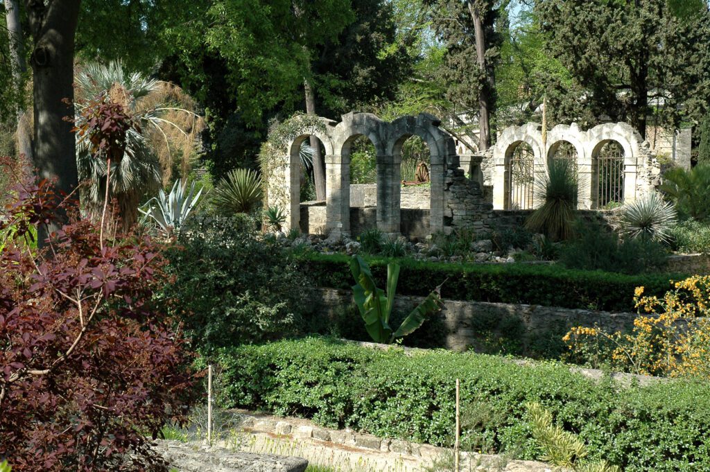 jardin des plantes Montpellier